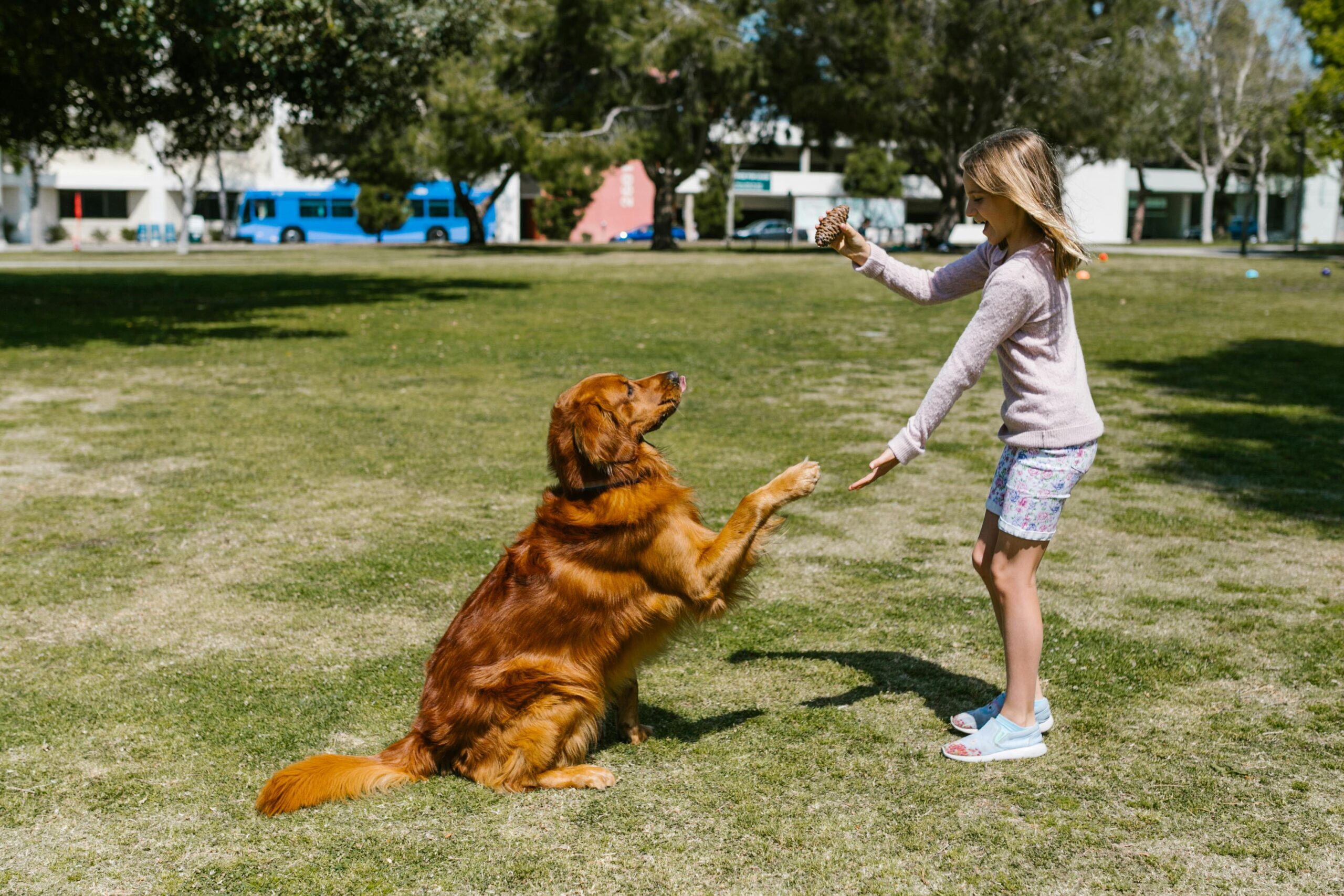 Campground near me in Edmonton - Willowbend RV Resort playground